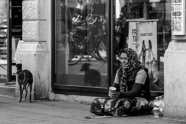 PiPP_20140627_pleasemadame