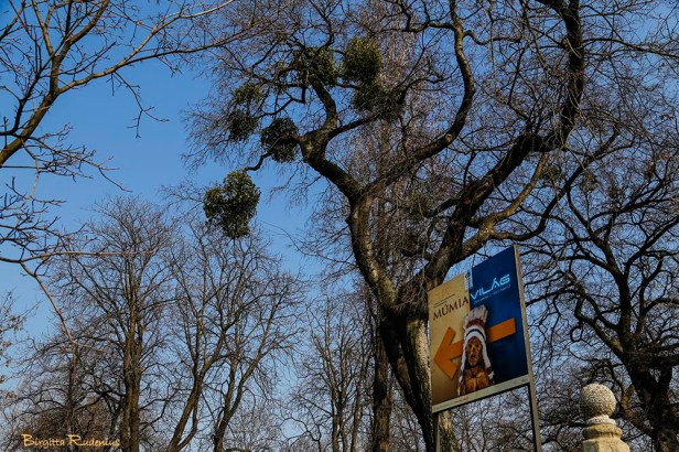 event_20150323_historicalmuseum