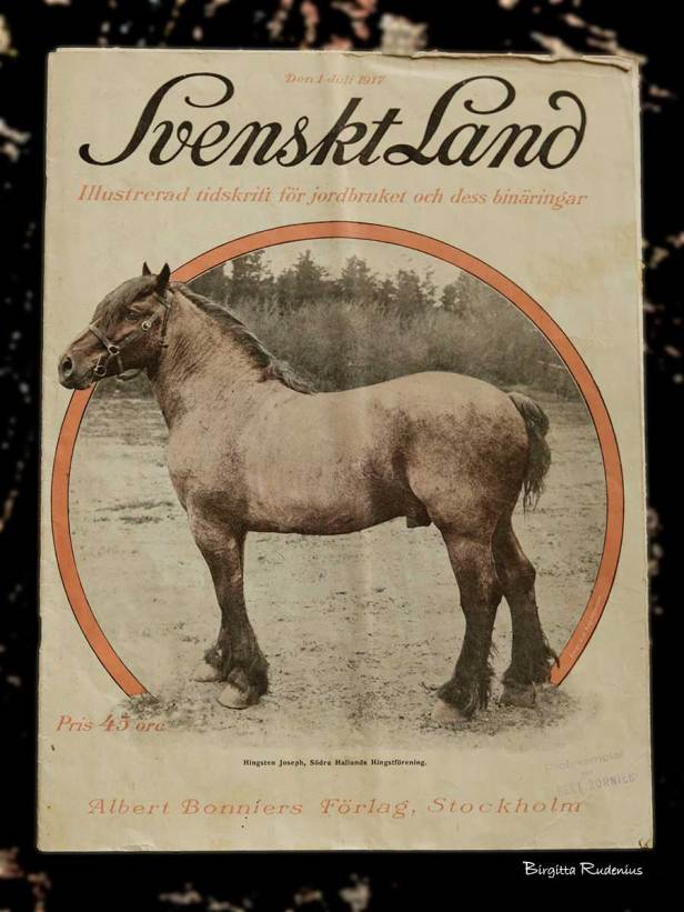 old_20150623_joseph1917