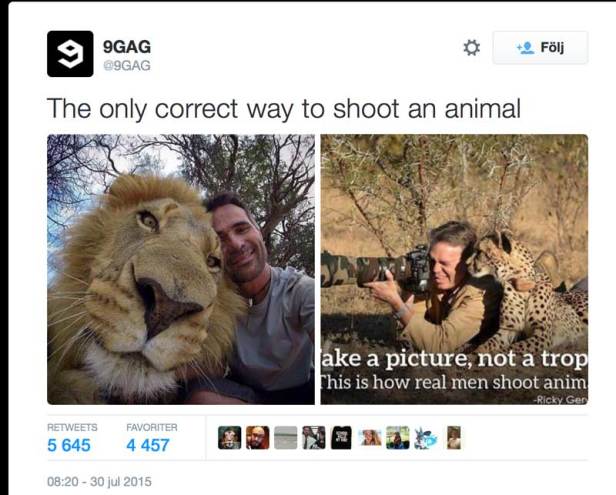 shootinganimalcorrect