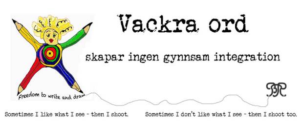 Vackra ord ... skapar ingen