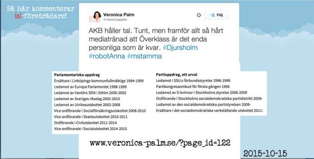 Veronica Palm en socialdemokrat