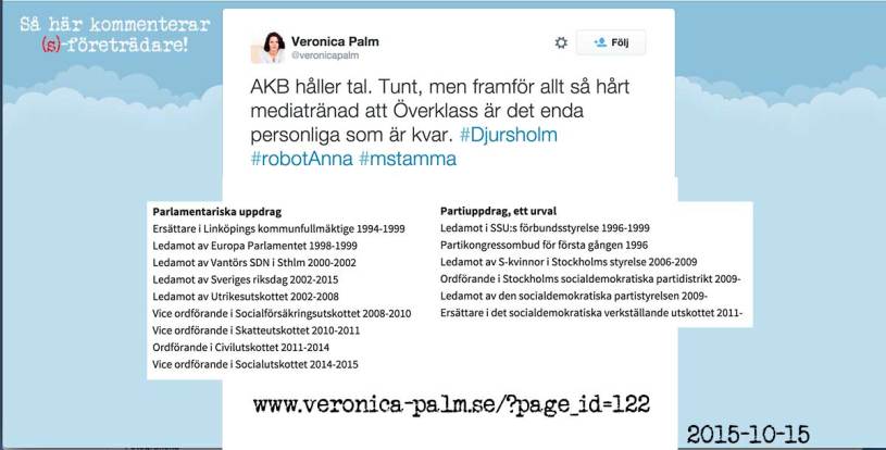 Veronica Palm en socialdemokrat