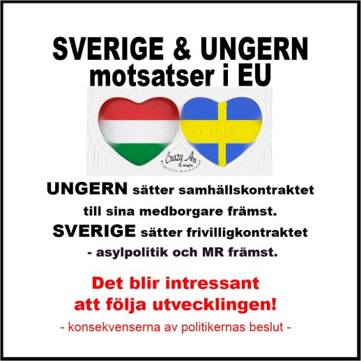 Sverige - Ungern varandras motsatser. Dt blir intressant att följa utvecklingen!
