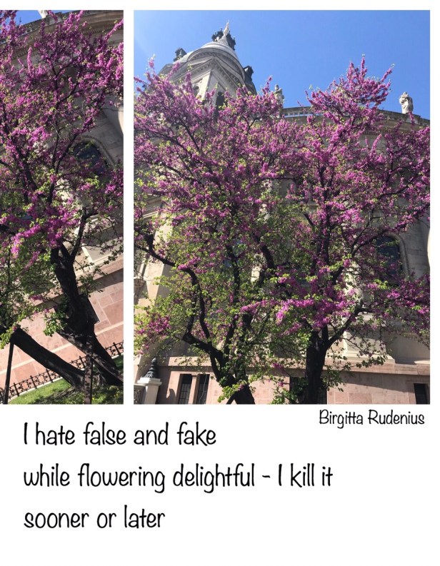 I hate False & Fake!