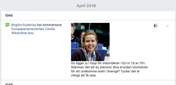 Cecilia Wikström (L) och alla sidoinkomster.