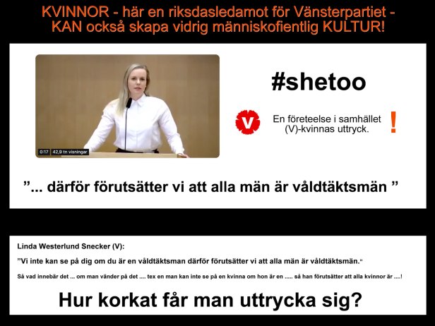 Vänsterkvinnor - Vänsterpartiet (v) - ser alla män som våldtäktsmän.