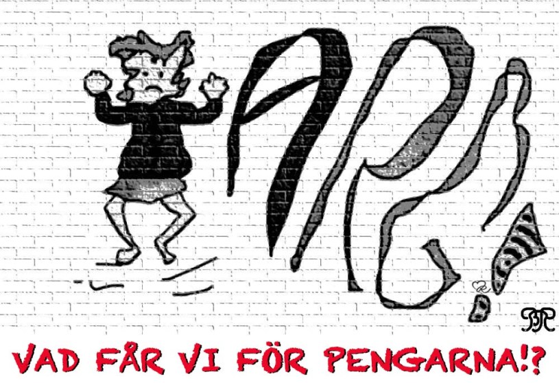 VAD FÅR VI FÖR PENGARNA!?