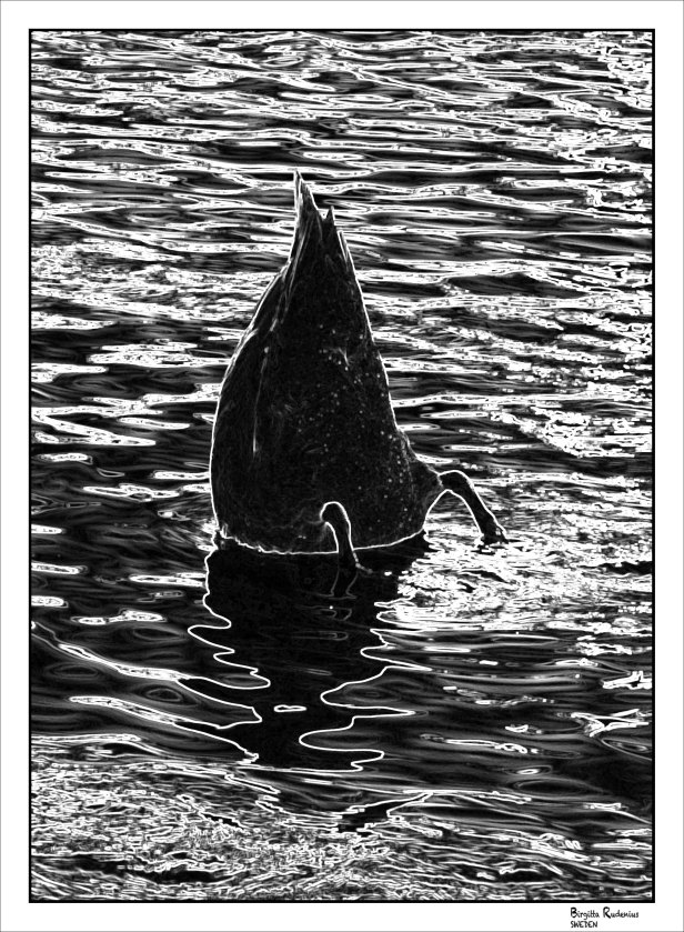 Digging for more fake news © Birgitta Rudenius